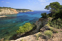 Coastal view along Charraca creek, Ibiza, Balearic Islands, Spain