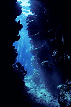 Coral Reef cavern with sunlight penetrating water. Egypt, Red Sea