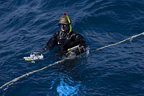 Researcher Susan Sobtzik hanging on a 'minke line' with video recorder, on board the boat 'Undersea Explorer' Queensland, Australia, 2006