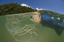 Snorkler watching  Box jellyfish {Chiropsalmus sp.} Queensland, Australia 2006