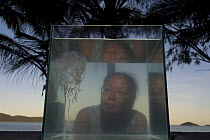 Woman looking at Box jellyfish {Chiropsalmus sp.} in fish tank on beach, Queensland, Australia 2006