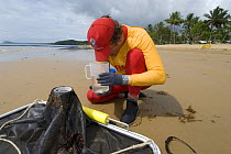 Lifeguard checking water sample for Irukandji and Box Jellyfish after drag-netting stinger-resistant enclosure, Queensland, Australia,  2006