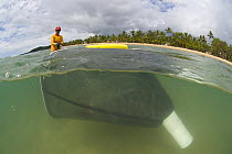 Lifeguard dragging net through stinger-resistant enclosure, checking for Irukandji and Box Jellyfish, Queensland, Australia  2006