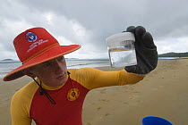 Lifeguard checking water sample for Irukandji and Box Jellyfish after drag-netting stinger-resistant enclosure, Queensland, Australia  2006