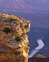 Sunrise on stratified rim rock tower at Grandview Point with meandering Colorado River riffle below, Grand Canyon National Park, Arizona, USA.