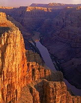 Quartermaster Canyon overlooking west into the Colorado River gorge at dawn, Grand Canyon West Hualapai Indian Reserve, Mojave Desert, Arizona, USA