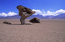 Rock Formation, Salar de Uyuni (salt flats), Altiplano, Bolivia