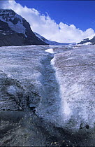 Athabasca Glacier, Colombia Ice Field, Jasper National Park, Alberta, Canada
