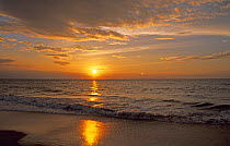 Sunset over the sea, Negombo, Sri Lanka