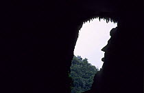 Looking out through the entrance of a cave, rocks appear in shape of man's profile, Gunung Mulu National Park, Sarawak, Malaysia