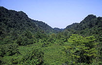 Cuc Phuong National Park, View of secondary rain forest from observation tower, Vietnam