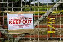 Restrictions for Foot and Mouth Disease, Surrey, England, September, 2007