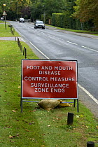 Roadside sign warning of Foot and Mouth Disease, Surrey, England, September, 2007