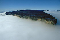 Aerial view of Mount Roraima shrouded in cloud, Venezuela