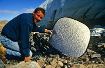Cameraman Gavin Thurston holding reflector during  filming tiny arctic flowers on location on Ellesmere Island in the Canadian arctic, for BBC NHU's series "Private Life of Plants" 1990s