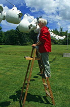 The owner checking her Purple martin nests on location for BBC television series 'Life of Birds', Pennsylvania, USA, July 1997