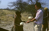 Cameraman Hugh Maynard buying Ostrich egg from Bushman, Kalahari desert, Botswana, on location for BBC television programme 'The Living Planet - Baking Deserts' 1981