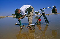 Mark Payne Gill on location in the central desert of Oman, filming Fairy shrimps {Triops sp} in a desert lake after heavy rainfall, Jan 1997. For BBC television programme