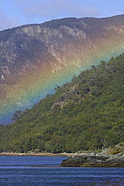Rainbow over Southern beech (Nothofagus) forest in Tierra del Fuego National Park. Beagle Channel, Tierra del Fuego, Argentina. January 2007.