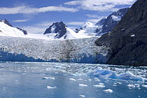Glacier and brash ice, Drygalski Fjord, South Georgia, Antarctica. January 2007.