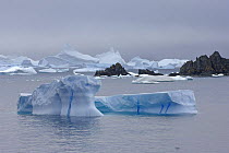 Blue icebergs. Laurie Island, South Orkney Isles, Antarctica. January 2007.