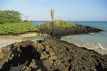 Coastal landscape, Santa Cruz Is, Galapagos