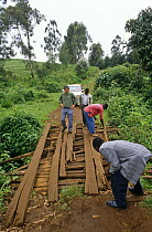 Laying planks to mend bridge to enable vehicle to cross river, Kilum-Ijim Forest Project zone, Bamenda Highlands, North West Province, Cameroon