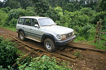 Laying planks to mend bridge to enable vehicle to cross river, Kilum-Ijim Forest Project zone, Bamenda Highlands, North West Province, Cameroon