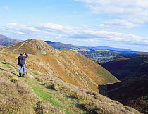 Hiker admiring the view of Devil's Mouth, Long Mynd SSSI, Shropshire Hills AONB, UK