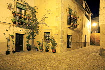 Potted plants outside house in old part of town, Coria, Caceres, Spain