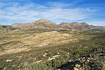 Swartberg Mountains, Little Karoo, South Africa