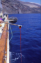 Chumming for Great white shark, pouring blood bait into the sea to attract the sharks, Guadalupe Island, Mexico (North Pacific)