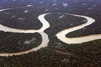 Aerial view of meander and tributary, Rio Yavari, Amazonia, Peru