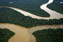 Aerial view of meander and tributary, Rio Yavari, Amazonia, Peru