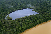 Aerial view of lake beside river in tropical rainforest, Rio Yavari, Amazonia, Peru