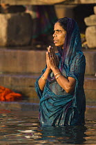 Woman praying in the River Ganges, Varanasi, Uttar Pradesh, India. Feb 2007