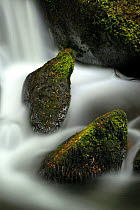 Blurred water and mossy rocks, Golitha falls, Cornwall. UK