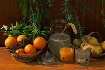 Mandarin fruit {Citrus reticulata} and lemons on table, Alicante, Spain