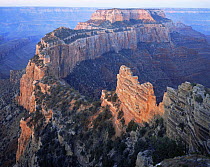 North Rim of Cape Royal at sunrise, Grand Canyon NP, Arizona, USA