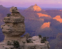 South Rim rock formation known as "Duck on a Rock" at sunset, with the "Vishnu Temple" in the background, Grand Canyon NP, Arizona, USA