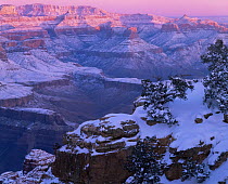 Moran point in the snow at sunrise, with the North Rim in the background, Grand Canyon NP, Arizona, USA