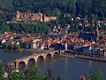 Heidelberg Castle and the old town viewed from across the Necker River, Heidelberg, Germany, Europe