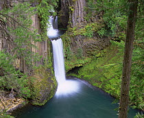 Toketee Falls in the North Umpqua River Valley, Umpqua National Forest, Oregon, USA