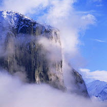 El Capitan in the mist after a winter storm, Yosemite NP, California, USA