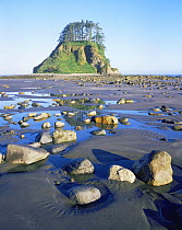 Rocks and tidal pools on Shi Shi Beach, Pacific Coast, Olympic NP, Washington, USA