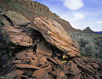 Basalt rock-formations on a hillside above Lenore Caves, Sun Lakes State Park, Washington, USA