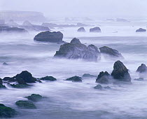 Long exposure of the view across Spooner's Cove in the mist, Montana De Oro State Park, California, USA