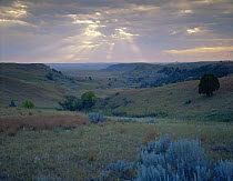 View of the sunrise over prairies on Scenic Loop Drive, Theodore Roosevelt NP, North Dakota, USA