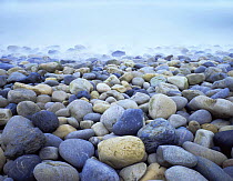 Misty cobblestone beach at Thornhill State Beach, California, USA
