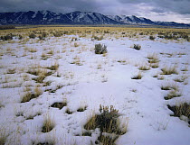Snow over the Curlew National Grasslands, Idaho, USA